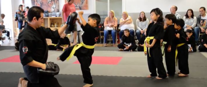 The Power of Martial Arts